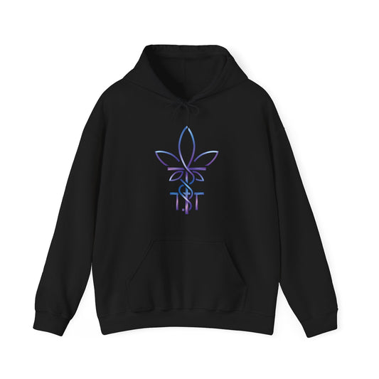 The TwiceToasted Hoodie (Unisex Heavy Blend™)